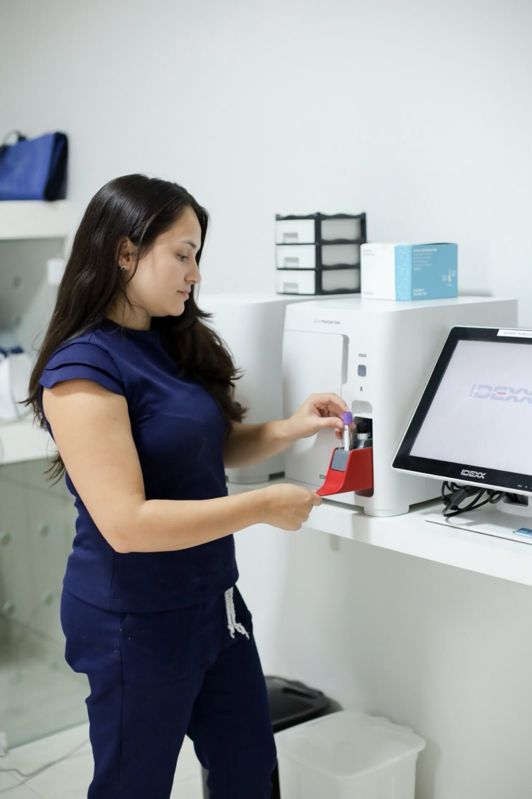 Veterinária usando o equipamento de exames